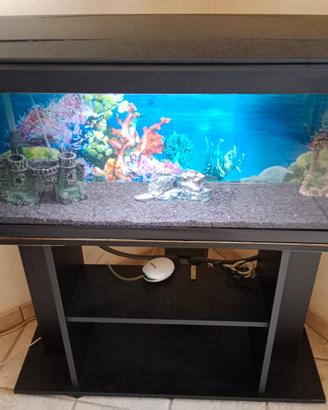 ACQUARIO 117 LT FILTRO SICCE RISCALDAORE AREATORE