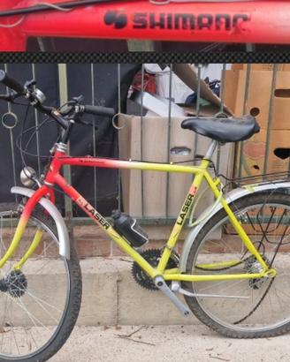 coppia di biciclette 