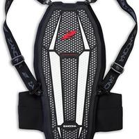 Paraschiena Zandonà Esatech Back Pro X7 – Liv.2