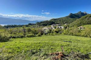 TER. AGRICOLO A GARGNANO