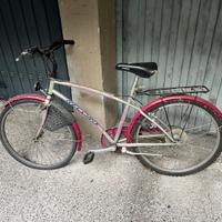 Bici tipo mountain bike