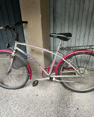 Bici tipo mountain bike