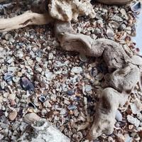 composizione acquario naturale