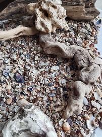 composizione acquario naturale