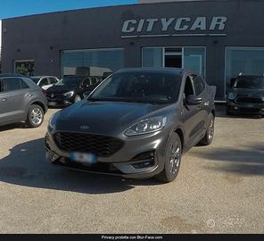 Ford Kuga 1.5 EcoBlue 120 CV aut. 2WD ST-Line