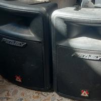 coopia casse amplificate peavey da riparare