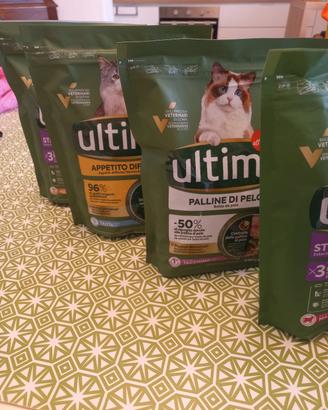 ultima gatto