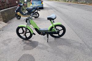 motorino 50