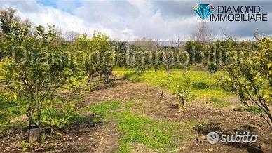 Terreno agricolo 14.000 mq a giarre