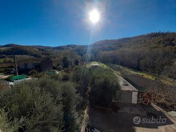 Appartamento con terreno