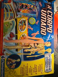 Gioco il corpo umano