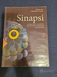 Sinapsi vol. 2  Storia della filosifia