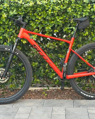 Mtb scott scale