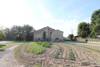 Terreno di 54050 m² a Lonigo