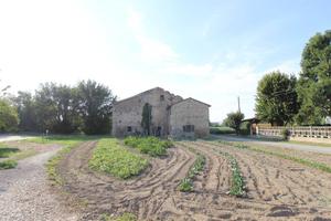 Terreno di 54050 m² a Lonigo