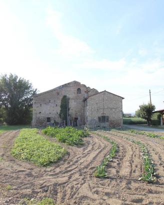 Terreno di 54050 m² a Lonigo