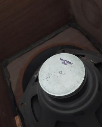 Coppia altoparlani monovia