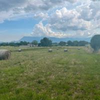 Terreno agricolo