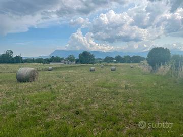 Terreno agricolo
