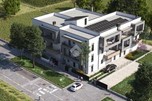 4 LOCALI A CITTADELLA