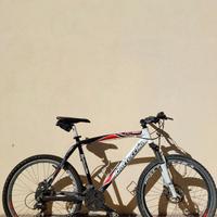 Bottecchia FX 520 2010