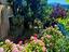 Immagine 21