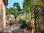 Immagine 29