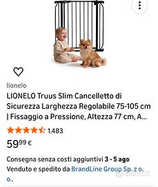 cancelletto di sicurezza 