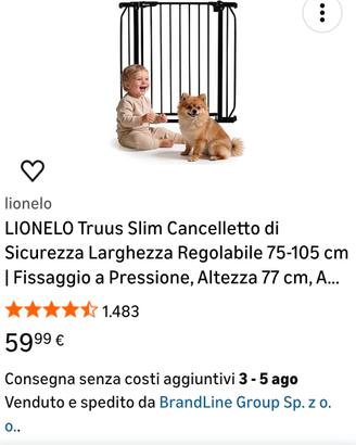 cancelletto di sicurezza 