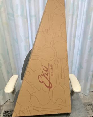 Chitarra aqustica