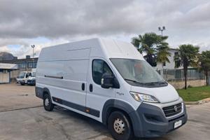 Fiat Ducato Furgonato MAXI KM: 174.912