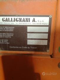 Callignani  rtobballe