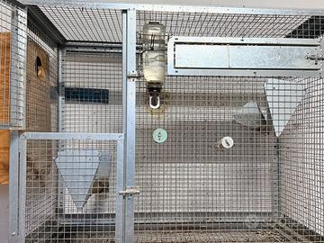 Volieretta 100x50x100