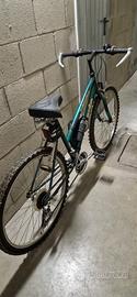 Bicicletta Mountain Bike