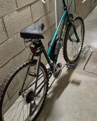 Bicicletta Mountain Bike