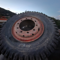 Gomme e cerchi escavatore gommato