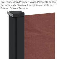 tenda laterale retrattile 100×300