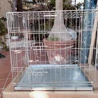 Kennel gabbia x cani taglia media