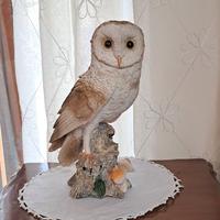 Barbagianni in resina