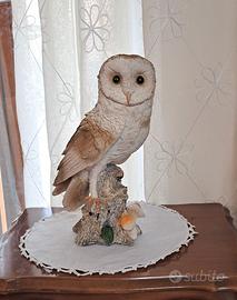 Barbagianni in resina