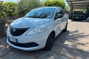 Lancia Ypsilon elefantino GPL
