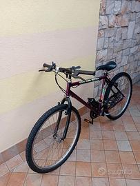 Mountain bike 26"