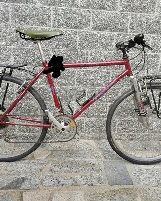 Bicicletta Specialized hard rock vintage 