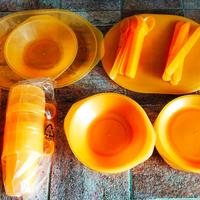 Servizio per Picnic e Campeggio con valigetta