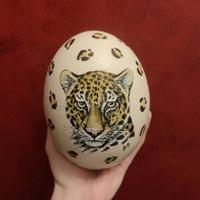Uova di struzzo decorate/dipinte a mano