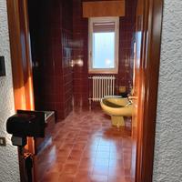 Bagno completo Antonia Campi x Richard Ginori 