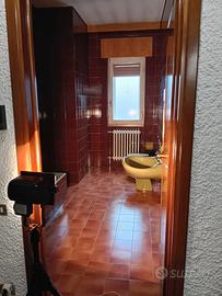 Bagno completo Antonia Campi x Richard Ginori 