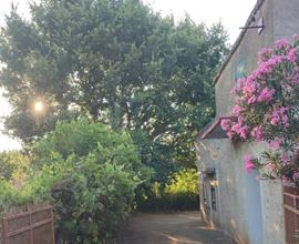 Casa bilocale con uliveto, vigneto e frutteteo