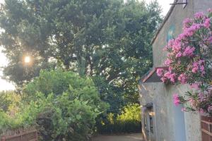 Casa bilocale con uliveto, vigneto e frutteteo