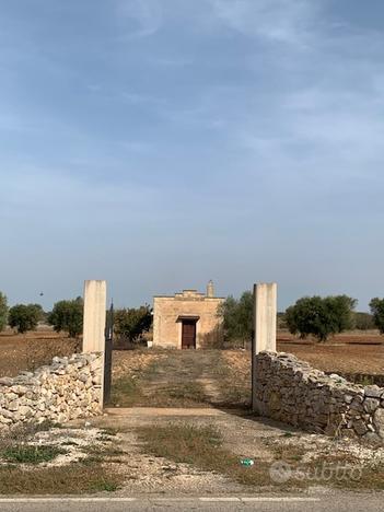 Vendita terreno agricolo